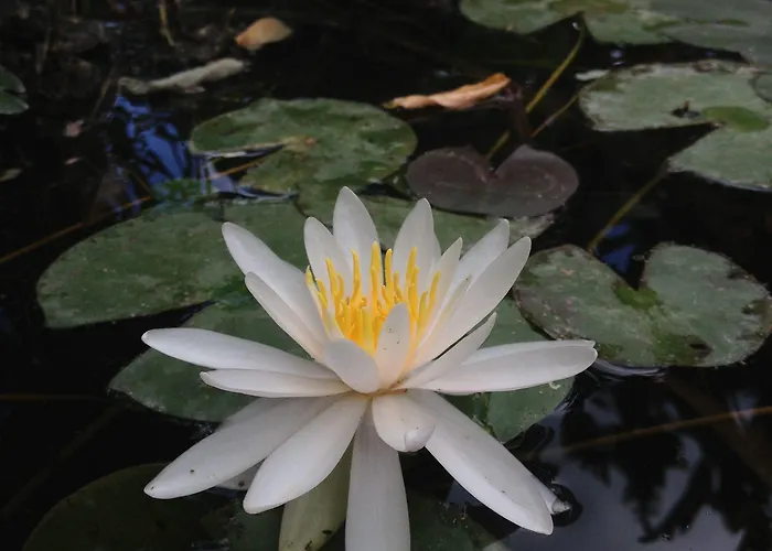 Marinella Nocleg ze śniadaniem